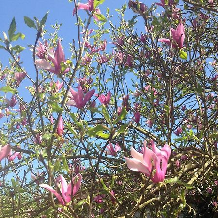 La Magnolia Apartamento Riccò del Golfo di Spezia Exterior foto