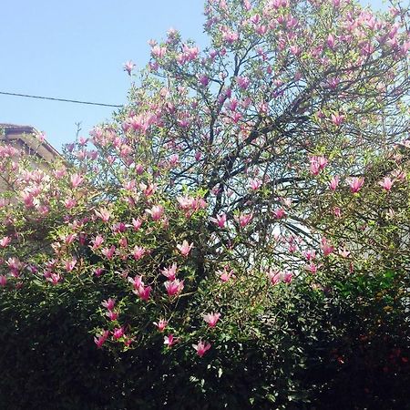 La Magnolia Apartamento Riccò del Golfo di Spezia Exterior foto